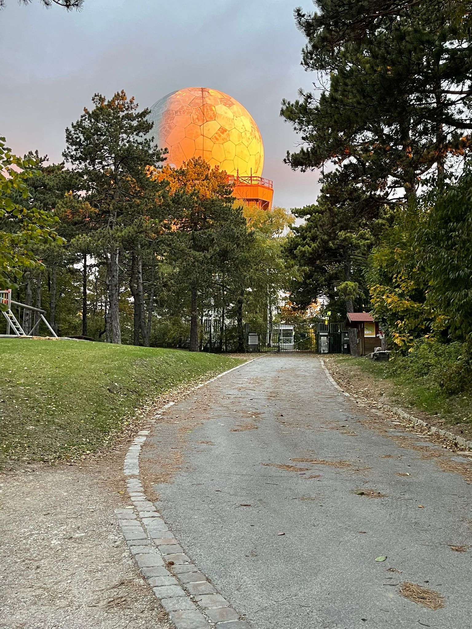 Ein Weg führt durch einen Wald zu einer großen, kugelförmigen Struktur, die von der Sonne beleuchtet wird.