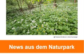 Newsletter April25-bild