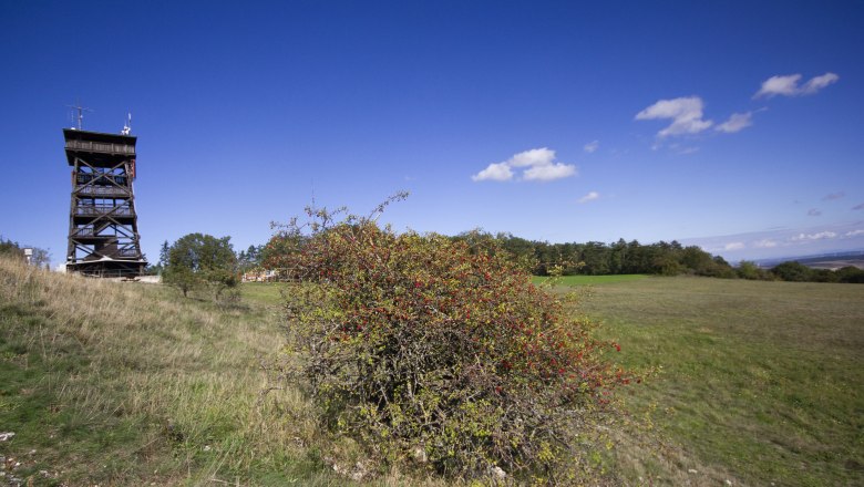 Aussichtswarte Oberleiserberg, © Team Wagner