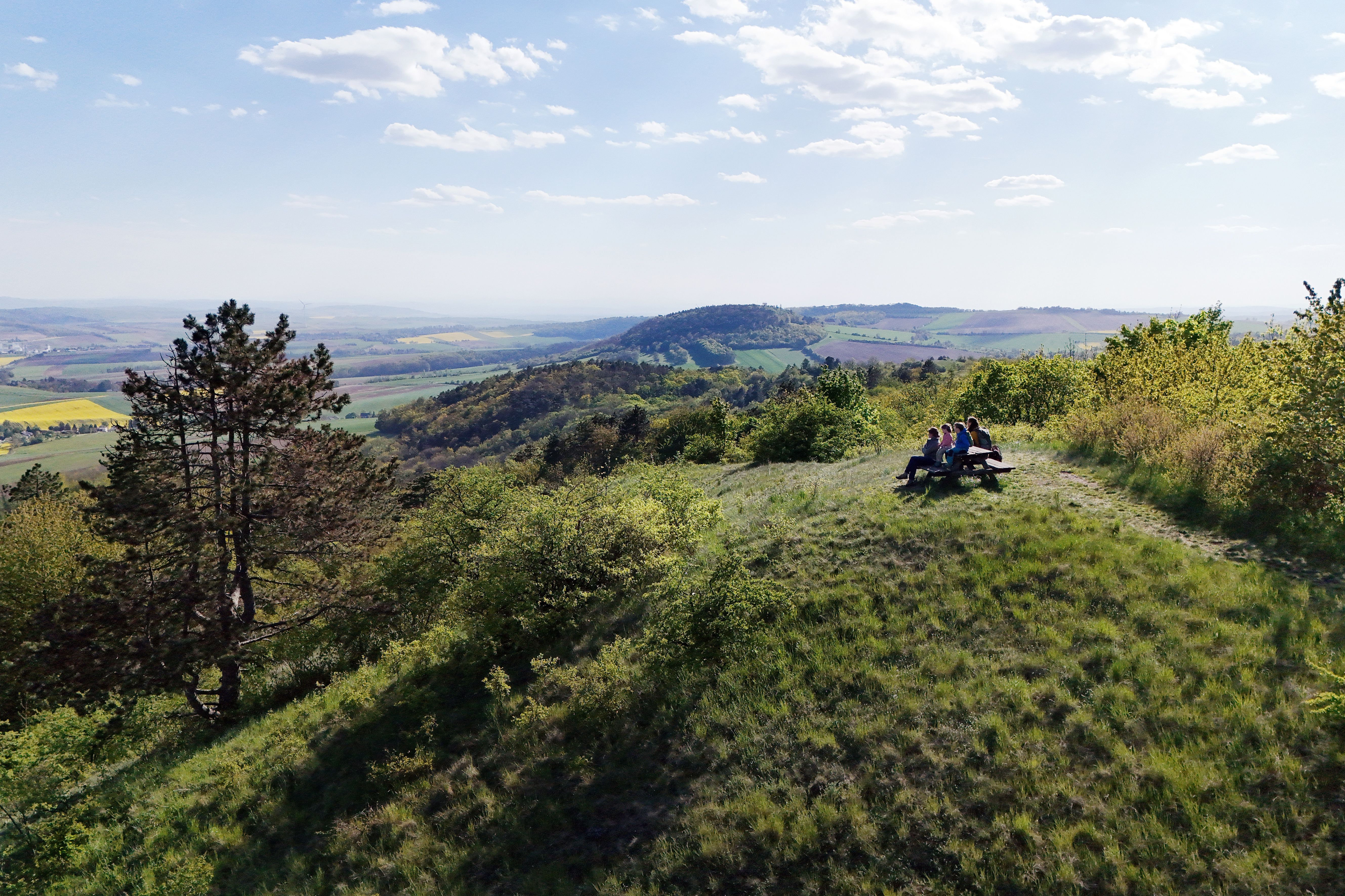 Rast auf dem Gipfel des Buschbergs