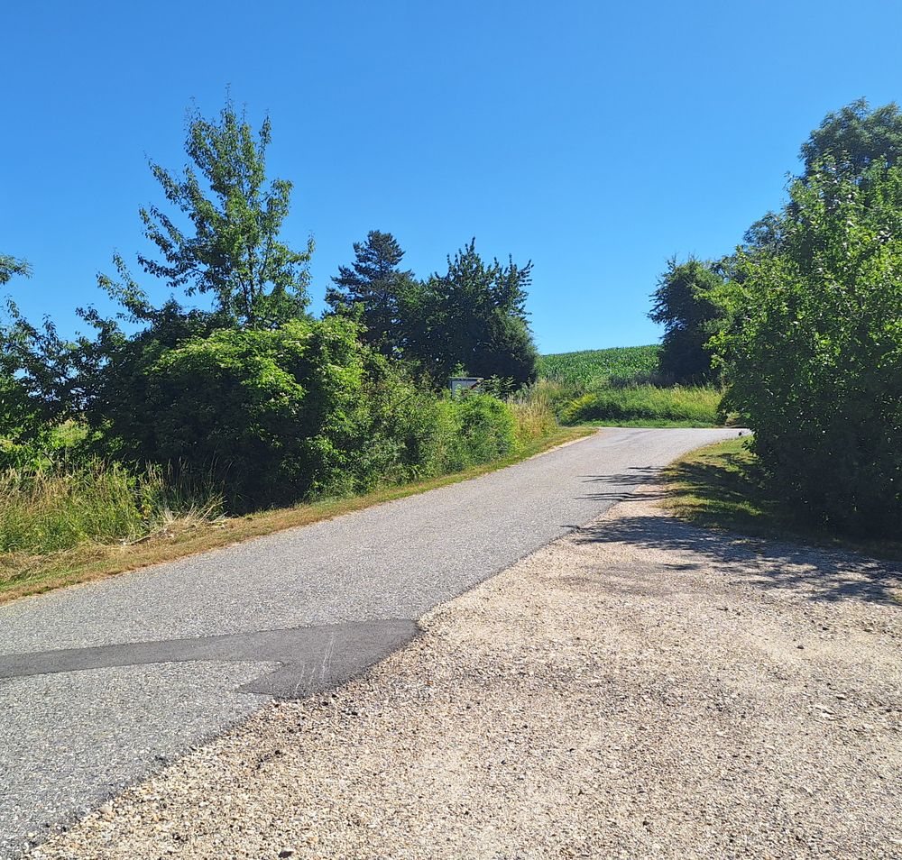 Schotterfläche für Campinggäste neben einer Seitenstraße und Ausblick ins Grüne