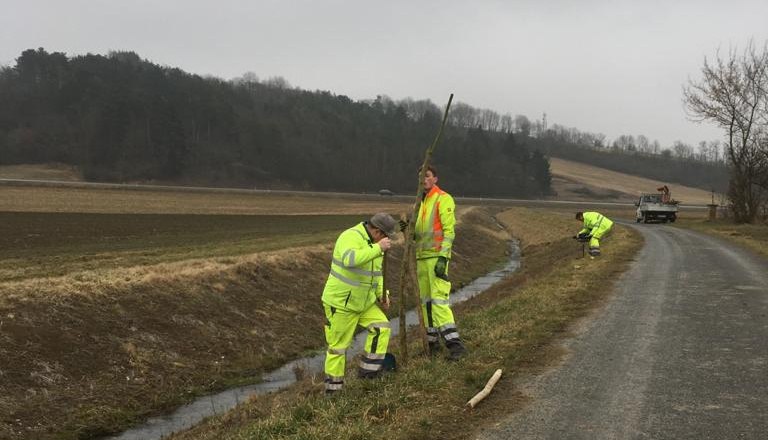 Pflanzung Setzstangen, © Leiser Berge