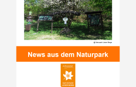 Newsletter März 2025