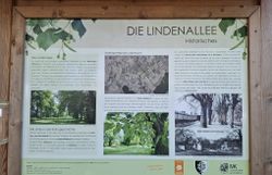 Infotafel in der Lindenallee