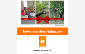 Newsletter November 2025-Bild