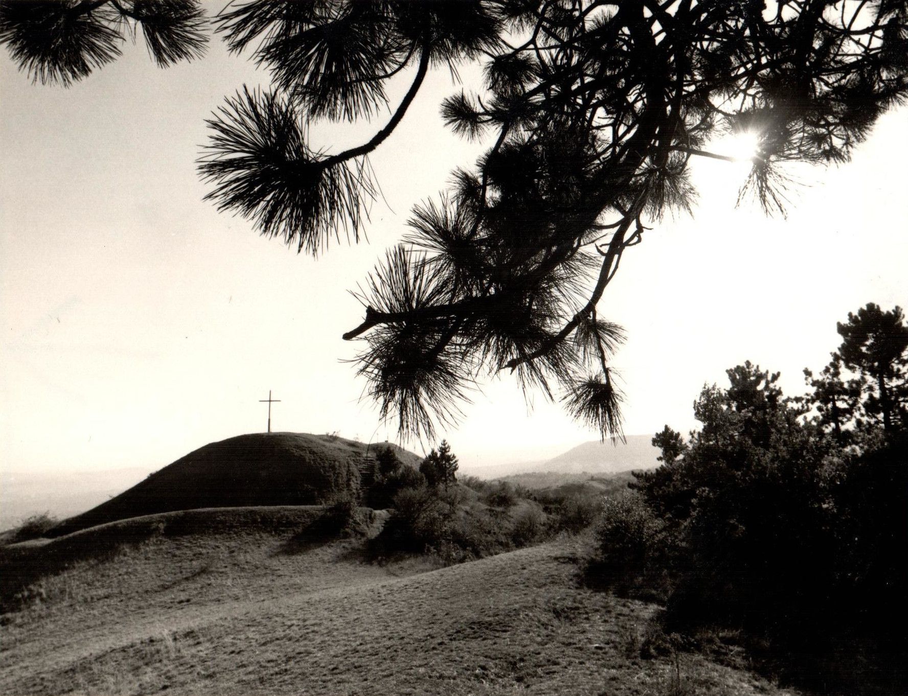 Blick auf Buschberggipfel, ca. 1970