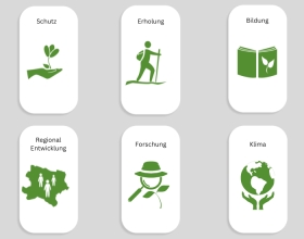 Die 6 S&auml;ulen des Naturparks Leiser Berge