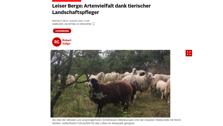 NÖN Korneuburg Steinbacher Heide