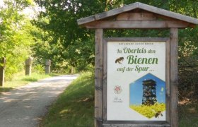 Bienenlehrpfad Oberleiserberg, &copy; Marktgemeinde Ernbstbrunn