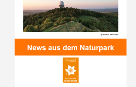 Newsletter Februar 2025