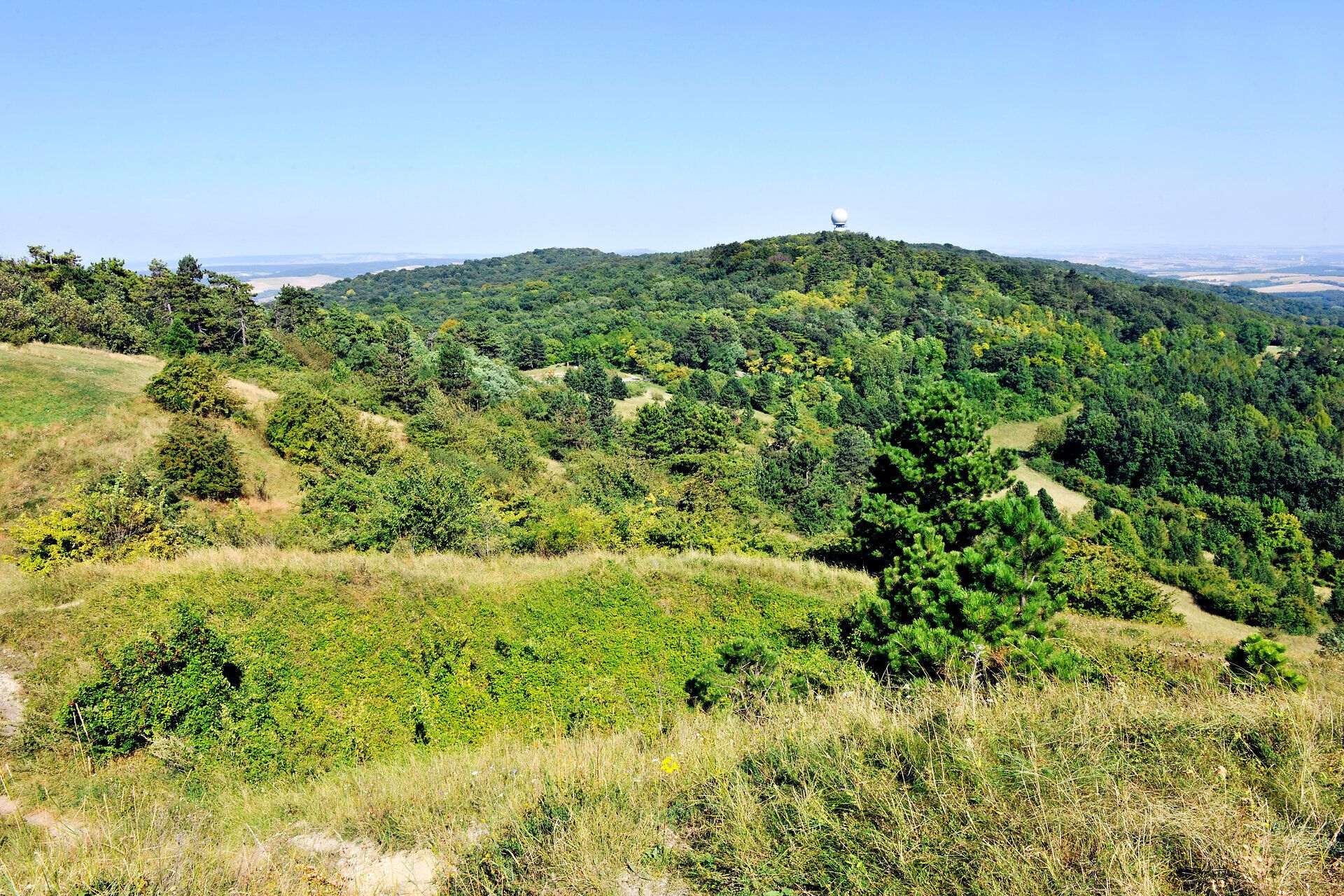Die sanften Hügel des Naturparks Leiser Berge laden zu erholsamen Wanderungen ein. Umgeben von üppigem Grün und blühenden Wiesen, bietet die Landschaft atemberaubende Ausblicke, die das Herz jedes Naturfreundes höher schlagen lassen. Hier kann man die Seele baumeln lassen und die Ruhe der Natur genießen.
