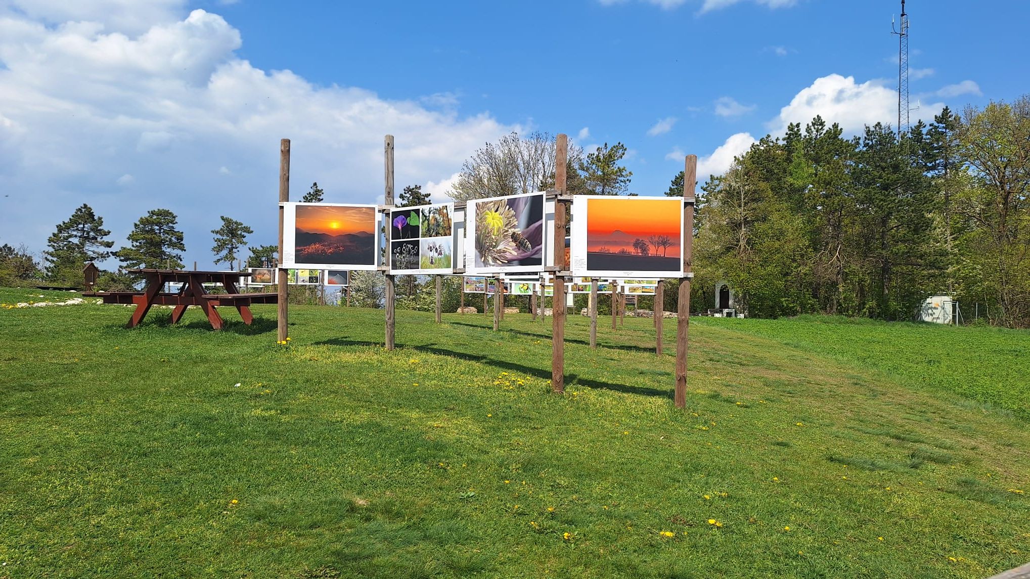 Fototafeln am Oberleiserberg