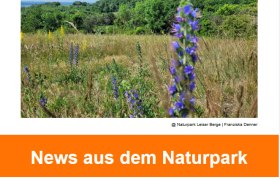 Bild Newsletter Juli 2025