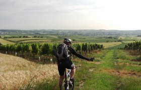 111 Haidhof Fernblickrunde, &copy; Gemeinde Ernstbrunn