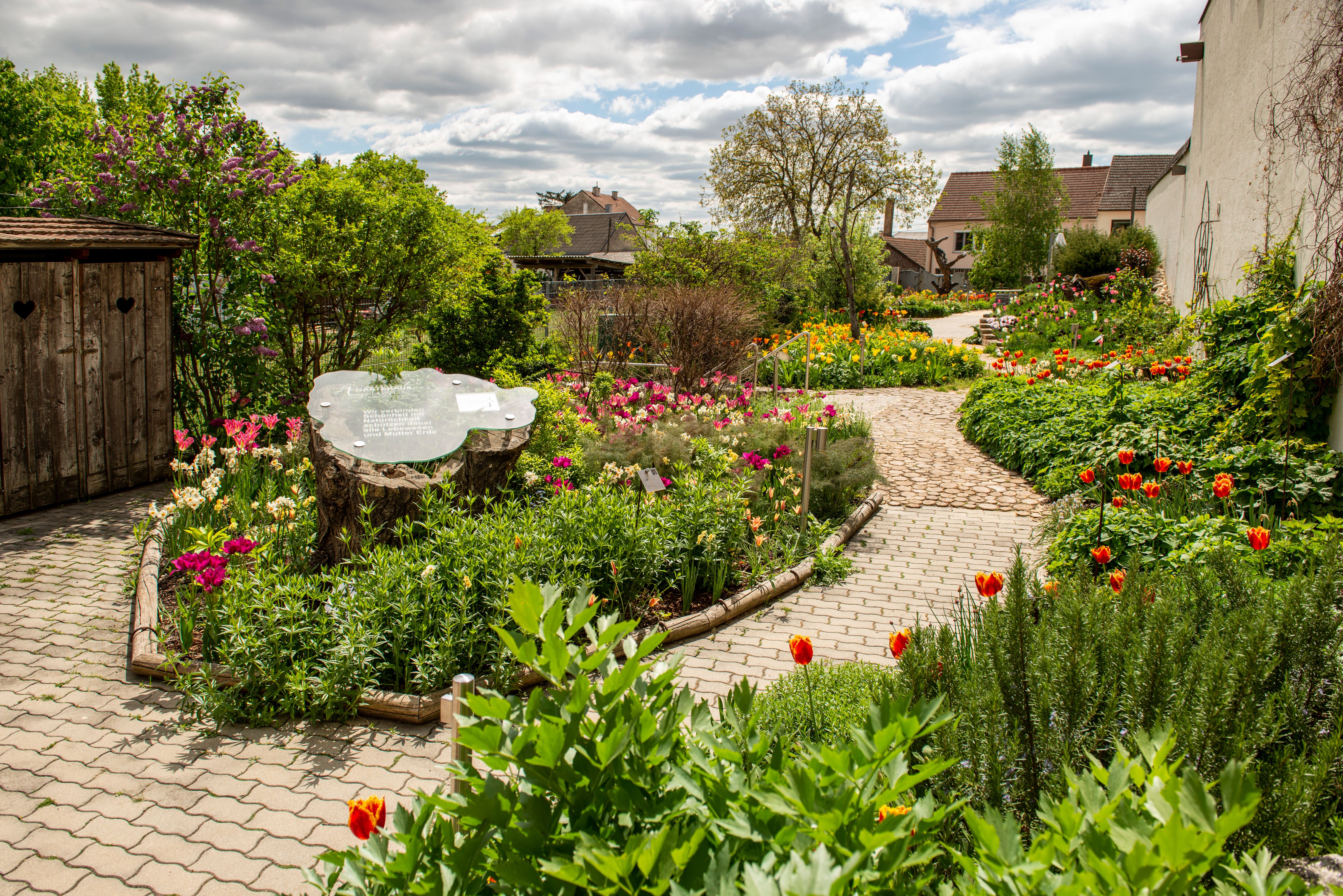 Ein gepflegter Garten mit bunten Blumen, einem geschwungenen Weg und einem Baumstumpf mit Infotafel.