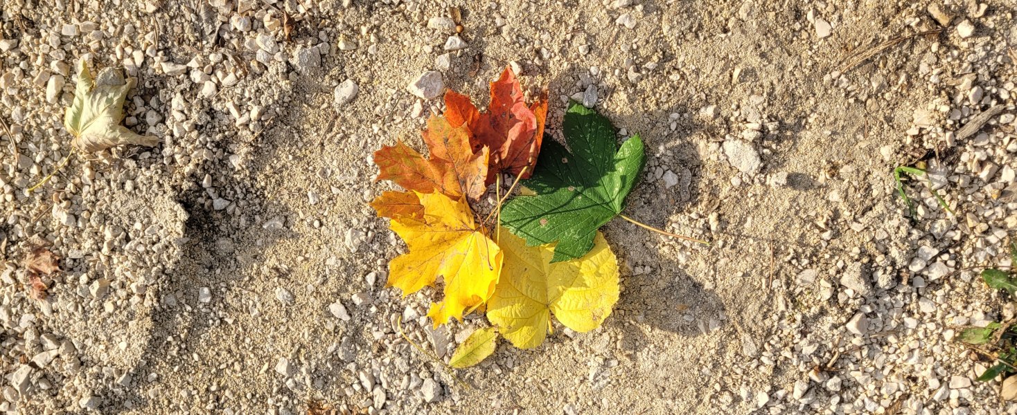 Naturerlebnisse, &copy; Team Wagner