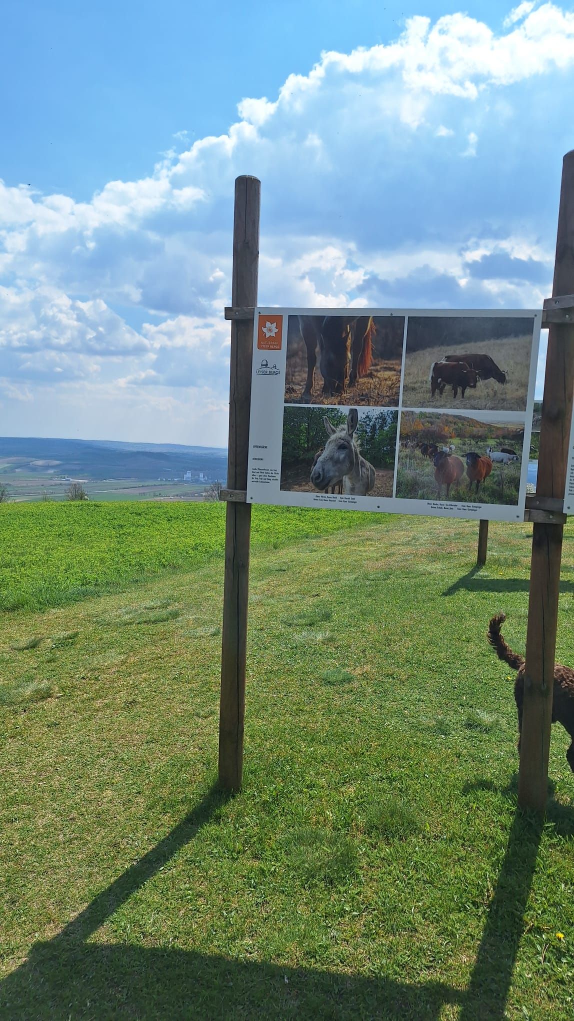 Fototafeln im Fokus am Oberleiserberg