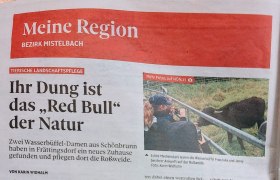 NÖN Mistelbach, © Sandra Thornton